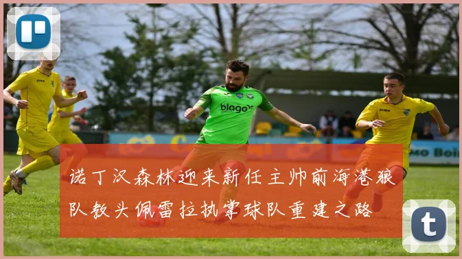 诺丁汉森林迎来新任主帅前海港狼队教头佩雷拉执掌球队重建之路