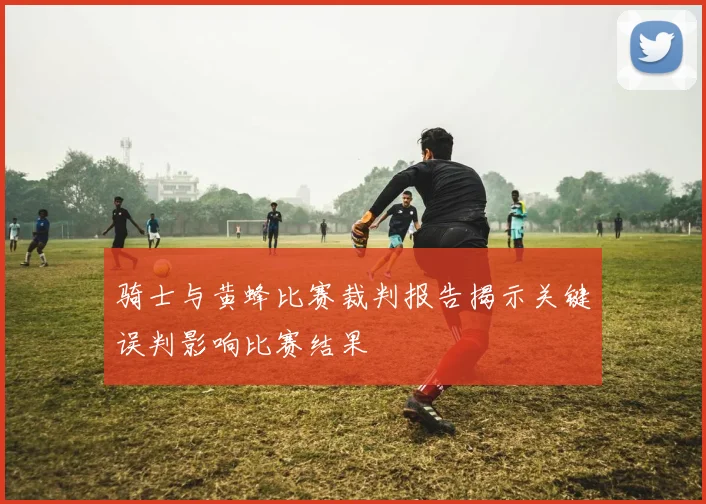 骑士与黄蜂比赛裁判报告揭示关键误判影响比赛结果